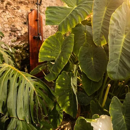 Garden House Wellness & Sauna *